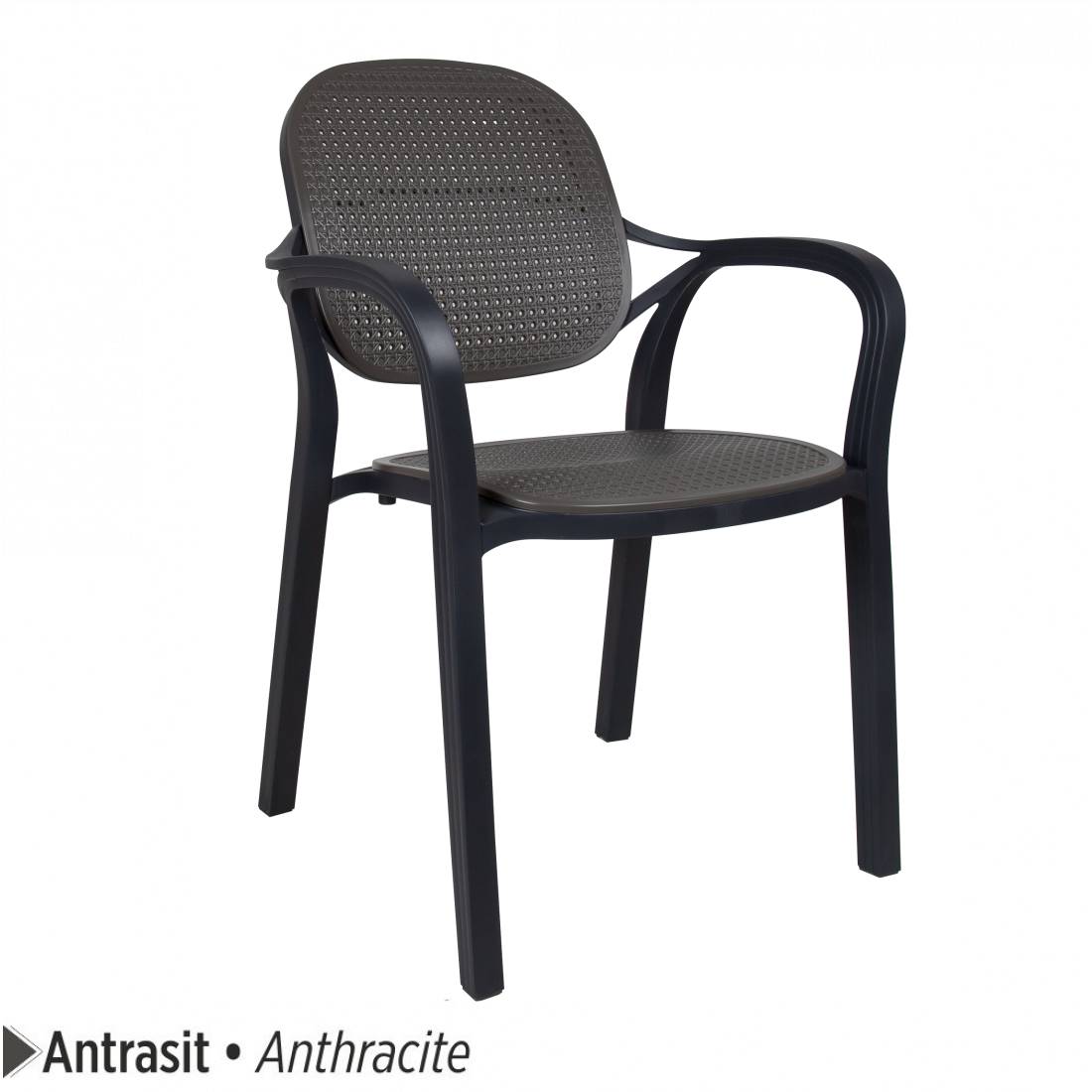 ant-1100x1100.jpg